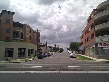 Merrylands - panoramio (6).jpg