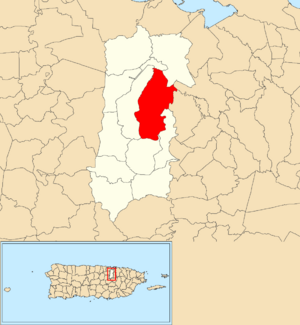 Location of Minillas within the municipality of Bayamón shown in red