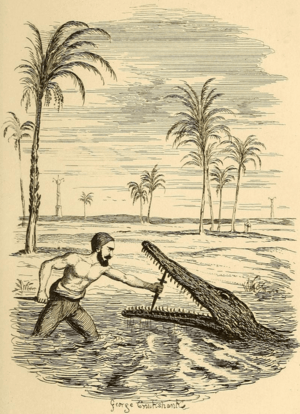 Crocodile hunter on the Nile