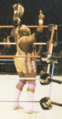 MoWrestler1994