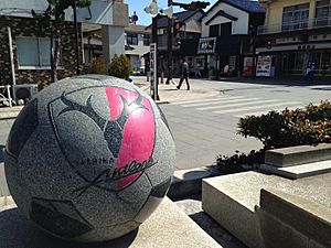 Monument for Kashima Antlers near Kashima Shrine