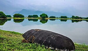 Mookeneri(Kannakurichi) Lake