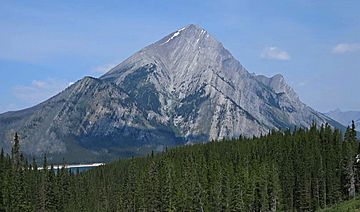 Mount Nestor from Buller Creek cropped.jpg