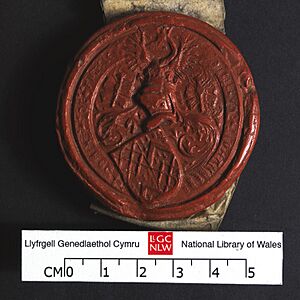 NLW Bronwydd 7012 (8613274584)