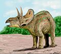 Nedoceratops BW