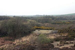 Newlyn Downs - geograph.org.uk - 399493
