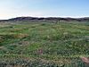 Norse settlement, L'Anse aux Meadows, NL.JPG