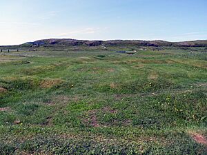 Norse settlement, L'Anse aux Meadows, NL