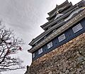 Okayama castle