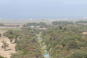 Old Hilltown viewed from Fort Ord National Monument