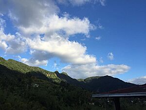 Picachos Jayuya