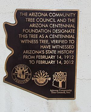 Prescott-Historic Centennial Tree-1912-marker