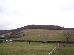Purple Hill - geograph.org.uk - 1076647