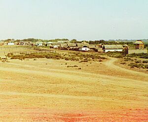 Sabirabad (Petropavlovka).Ümumi görünüş.Şimali-qərbdən Kür çayı