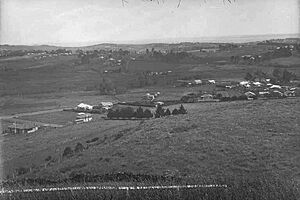 Showing a panoramic view taken from the slopes of Mount Albert, 1920