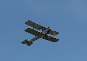 Silver Centenary at the SAAA Langley Park Fly-in October 2011 (1)