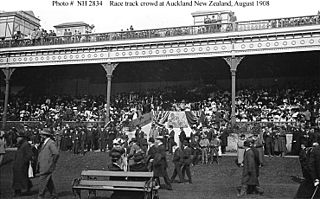 Spectators at Ellerslie Racecourse, 1908