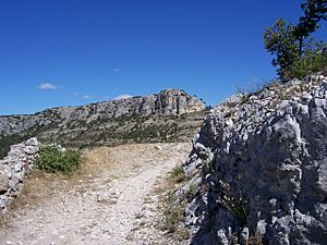 Sur le chemin aride du souvenir