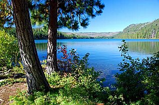 Suttle Lake (Jefferson County, Oregon scenic images) (jefDA0042)