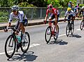 TDF 2015, étape 13, Montgiscard (3018)