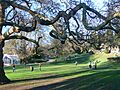 Terrace Gardens