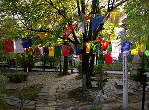 Tibetan prayer flags, Norbulingka Gardens, Norbulingka Institute, Sidhpur, Dharamsala