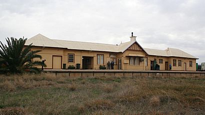 Tocumwal station NSW side.jpg
