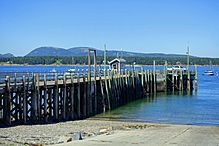 Town Dock - Great Cranberry Island, Maine - DSC03775