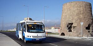 TransAntofagasta