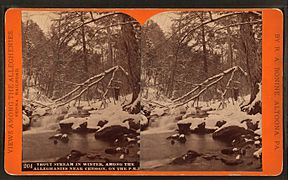 Trout stream in winter, among the Alleghenies near Cresson, on the P. R. R, by R. A. Bonine