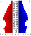 USA Lincoln County, Tennessee.csv age pyramid