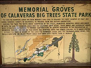 US CA SP Calaveras Big Trees Calaveras Grove Asso Save the Redwood