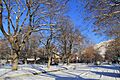 University District street with snow - Missoula, Montana