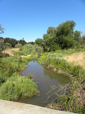 Uvas Creek Preserve l.JPG