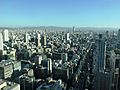 Viewed from the Nakanoshima Festival Tower in 201510 001