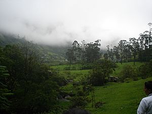 Vista del parque Puracé en Cauca
