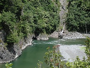 Waiohine River