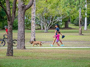 Walking the dog 7th Brigade Park Chermside P1040698