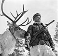 Warriors of Lapland