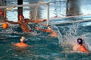 Water polo-2