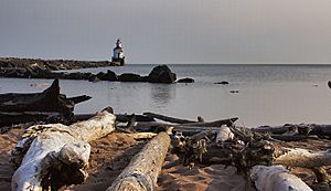 Wisconsion Point Driftwood and Lighthouse