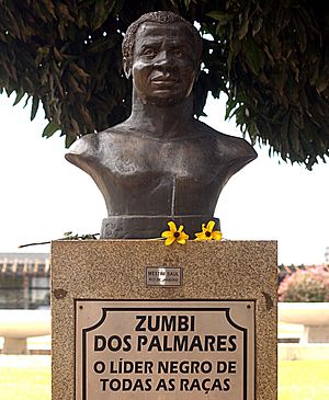 Zumbidospalmares