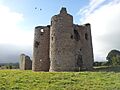 02. Ballyloughan Castle, Co. Carlow