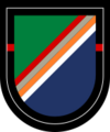 1 Bn 75 Ranger Regiment Beret Flash