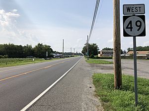 2018-08-07 16 10 09 View west along New Jersey State Route 49 (Shiloh Pike) just west of Cumberland County Route 635 (Old Cohansey Road) in Stow Creek Township, Cumberland County, New Jersey