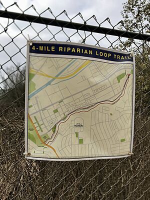 4-mile riparian loop trail, Playa Vista