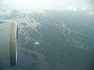 Aerial view of Shark River, Everglades National Park, 2007-08-14