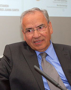 Alfonso Guerra 2011.jpg