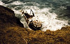 All American ship wreck St George Island 1996