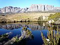 Andringitra, Madagascar by Effervescing Elephant-09